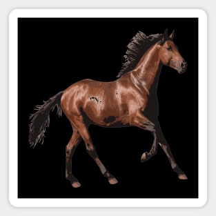 brown horse Magnet